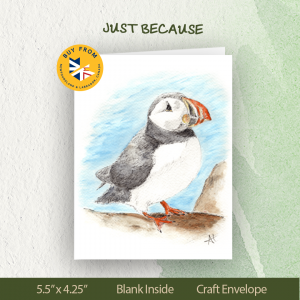 puffin-NL-just-because-elliston-bonavista